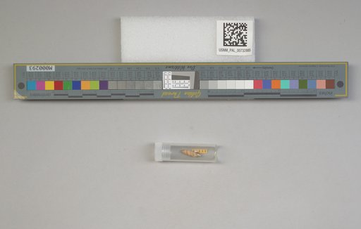 NSF ADBC EPICC TCN