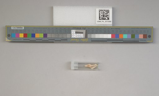 NSF ADBC EPICC TCN