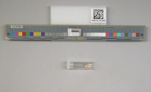 NSF ADBC EPICC TCN