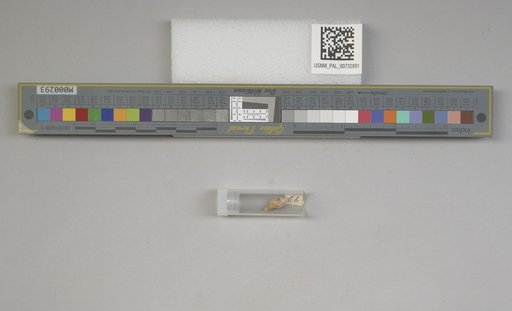 NSF ADBC EPICC TCN