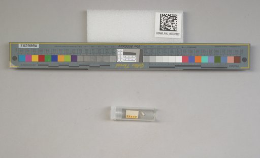 NSF ADBC EPICC TCN