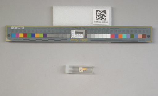 NSF ADBC EPICC TCN