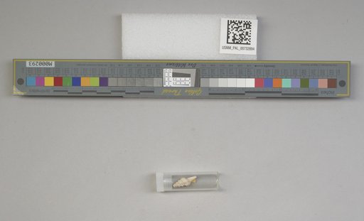NSF ADBC EPICC TCN