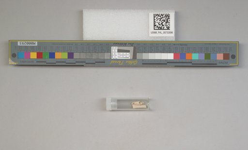 NSF ADBC EPICC TCN
