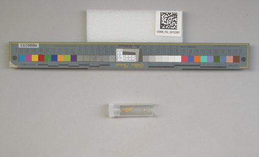 NSF ADBC EPICC TCN
