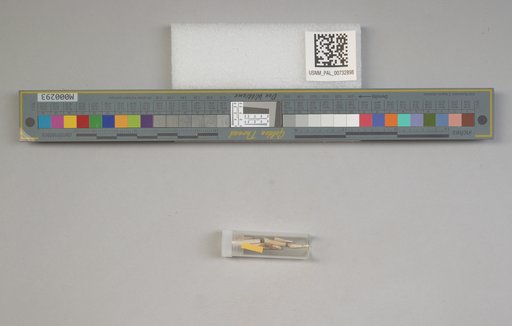 NSF ADBC EPICC TCN