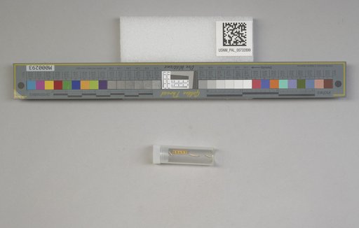 NSF ADBC EPICC TCN