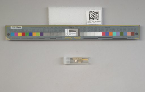 NSF ADBC EPICC TCN