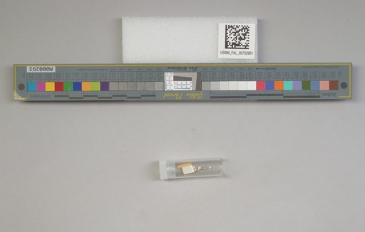 NSF ADBC EPICC TCN