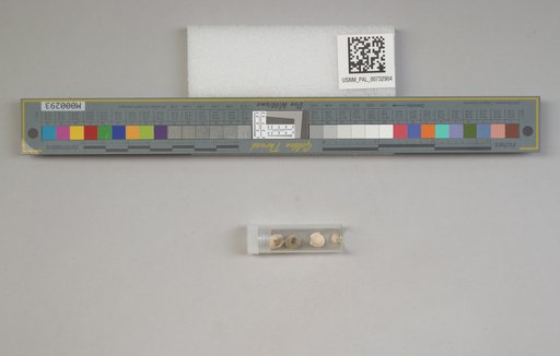 NSF ADBC EPICC TCN
