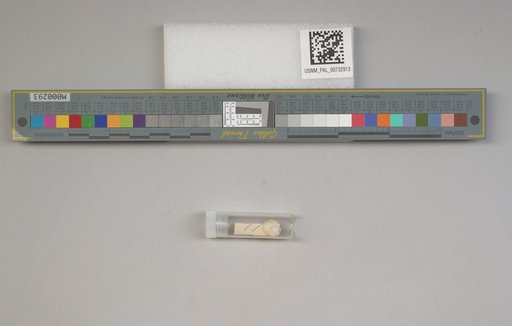 NSF ADBC EPICC TCN