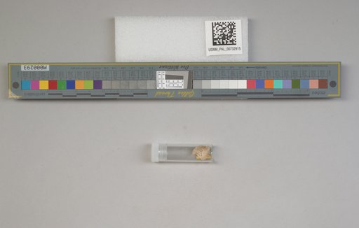 NSF ADBC EPICC TCN