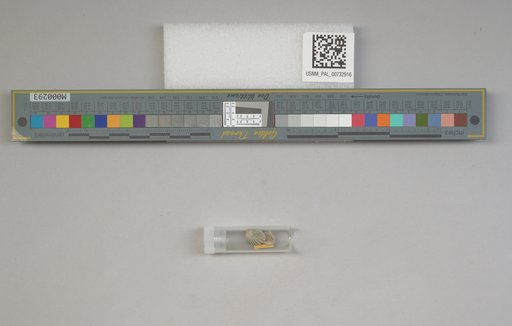 NSF ADBC EPICC TCN