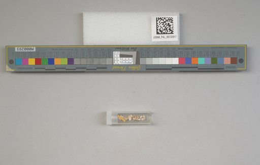 NSF ADBC EPICC TCN