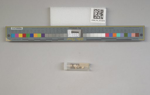 NSF ADBC EPICC TCN