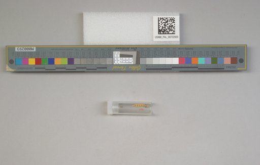 NSF ADBC EPICC TCN