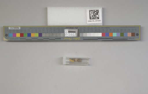 NSF ADBC EPICC TCN