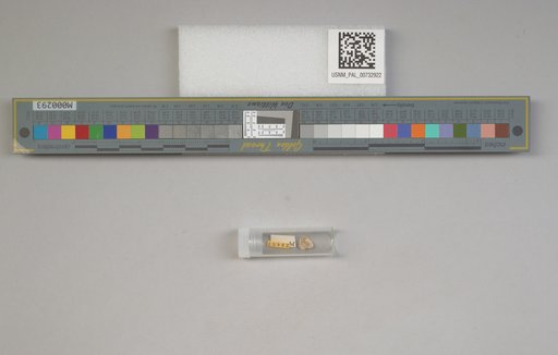 NSF ADBC EPICC TCN