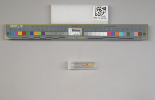 NSF ADBC EPICC TCN