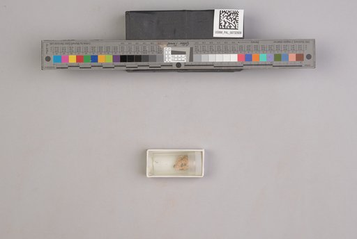 NSF ADBC EPICC TCN
