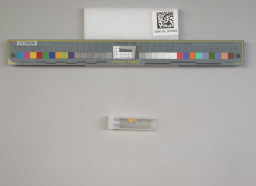 NSF ADBC EPICC TCN