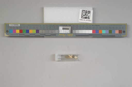 NSF ADBC EPICC TCN