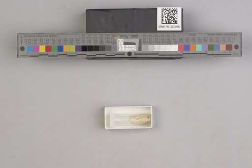 NSF ADBC EPICC TCN