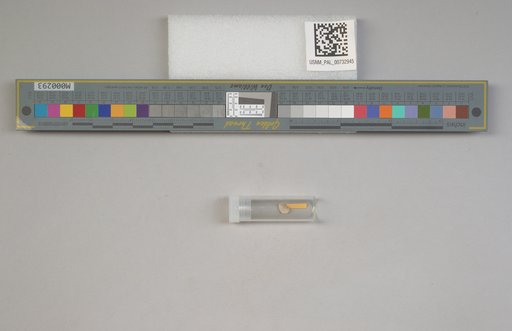 NSF ADBC EPICC TCN