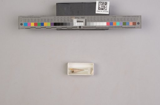 NSF ADBC EPICC TCN
