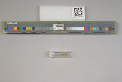 NSF ADBC EPICC TCN