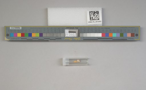 NSF ADBC EPICC TCN