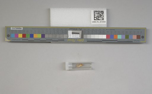 NSF ADBC EPICC TCN