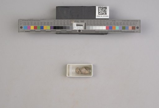 NSF ADBC EPICC TCN