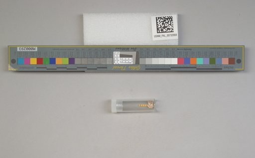 NSF ADBC EPICC TCN