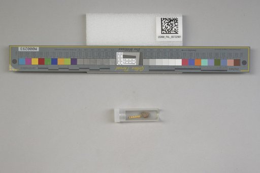 NSF ADBC EPICC TCN