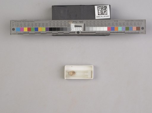 NSF ADBC EPICC TCN