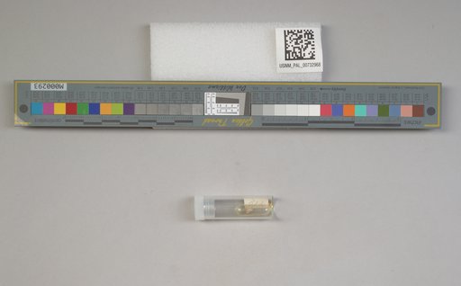 NSF ADBC EPICC TCN