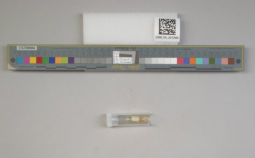 NSF ADBC EPICC TCN