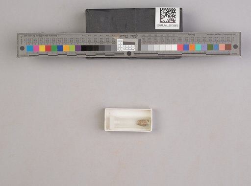 NSF ADBC EPICC TCN