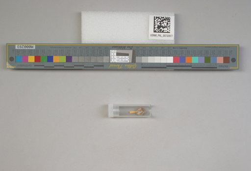 NSF ADBC EPICC TCN