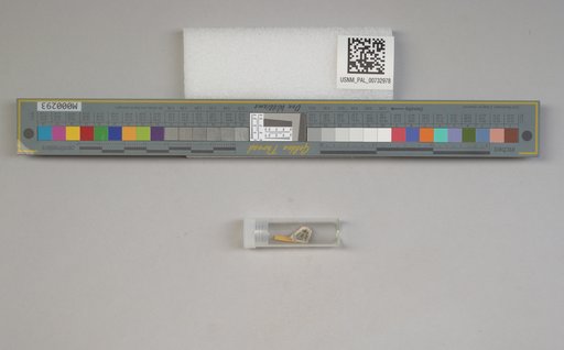 NSF ADBC EPICC TCN