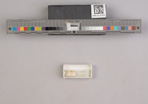 NSF ADBC EPICC TCN