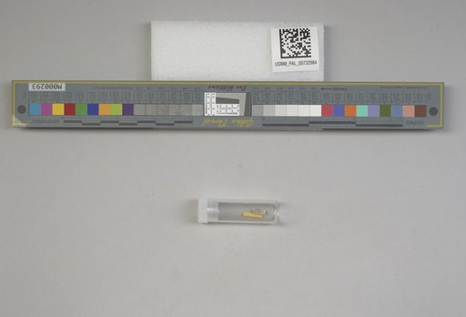NSF ADBC EPICC TCN