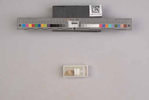 NSF ADBC EPICC TCN