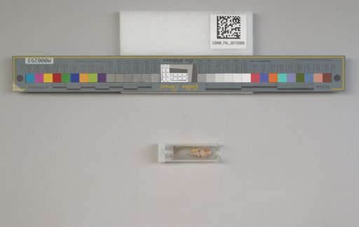NSF ADBC EPICC TCN