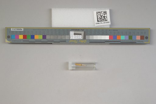 NSF ADBC EPICC TCN
