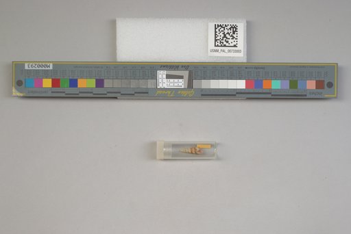 NSF ADBC EPICC TCN
