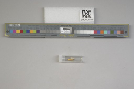 NSF ADBC EPICC TCN