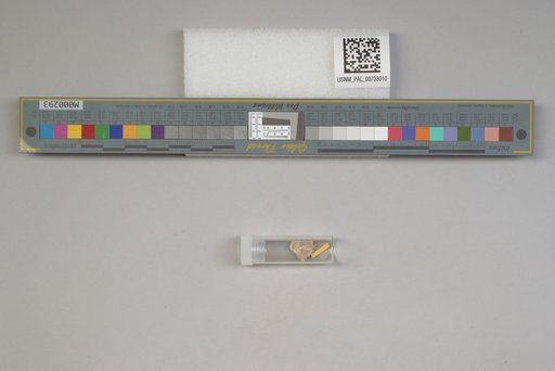 NSF ADBC EPICC TCN