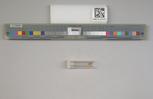 NSF ADBC EPICC TCN